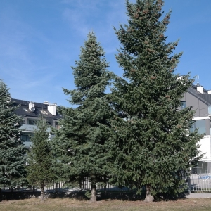 Prace na ukończeniu_5