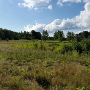 Osiedle zielone tarasy- przed budową