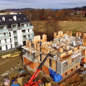 Cos ze stycznia 2-18_1