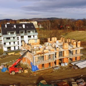 Cos ze stycznia 2-18_2